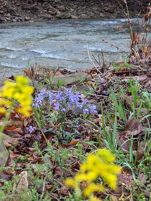 Kecks Creek Crossing Picture 10