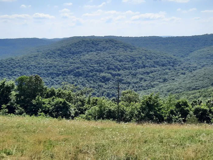 Pettigrew RV Park and Recreational Campground Picture 8