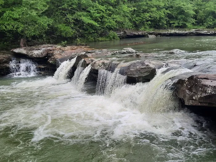 Pettigrew RV Park and Recreational Campground Picture 7