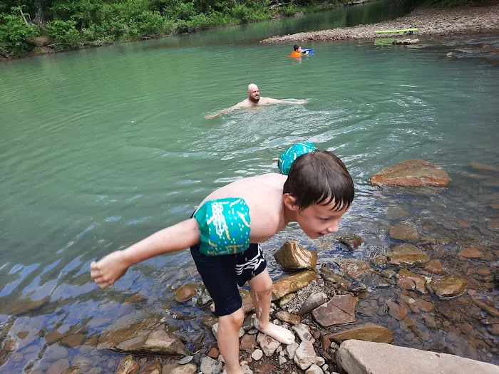 Pettigrew RV Park and Recreational Campground Picture 6