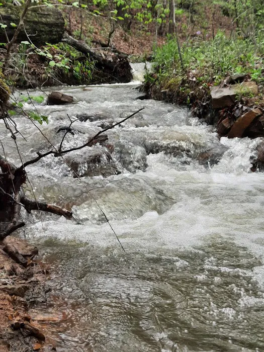 Pettigrew RV Park and Recreational Campground Picture 9