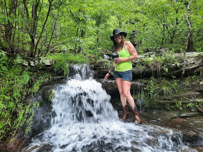 Pettigrew RV Park and Recreational Campground Picture 10