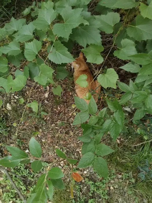 Roadhouse RV Park Picture 1