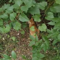 Roadhouse RV Park ico