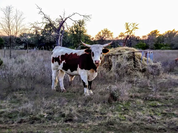 Lightning Ranch RV Park Picture 8