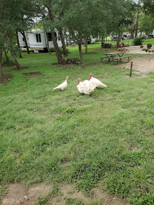 Cowboy Capital RV Park Picture 10