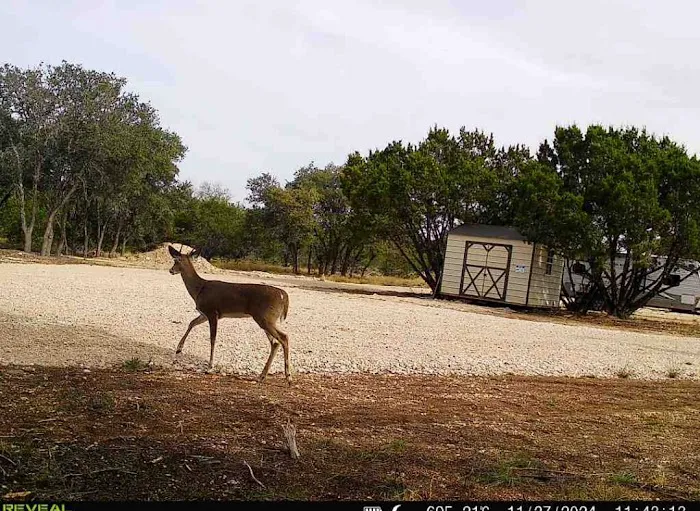 Cedar Creek RV Park Picture 1