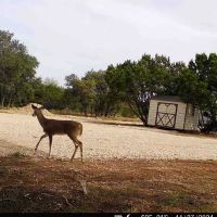 Cedar Creek RV Park ico