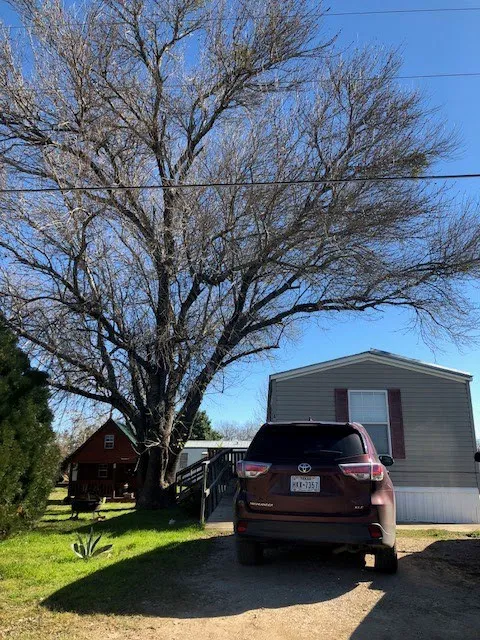 Jackson RV & Mobile Home Park Picture 2