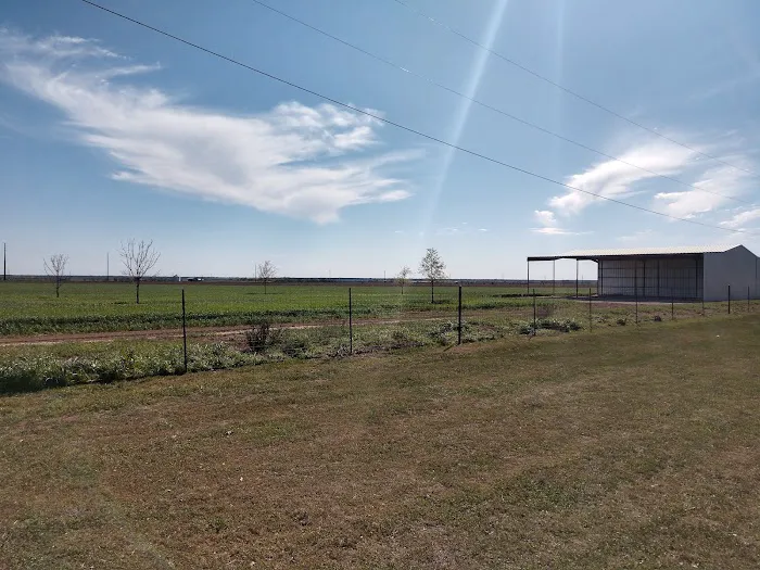 Quiet Texas RV Park Picture 8