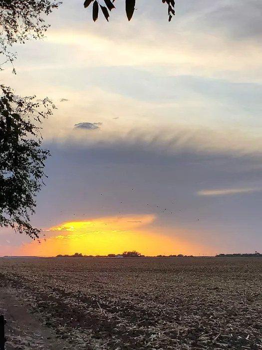 Quiet Texas RV Park Picture 10