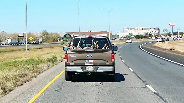 ASJC Acres RV & Mobile Home Park, LLC Picture 8