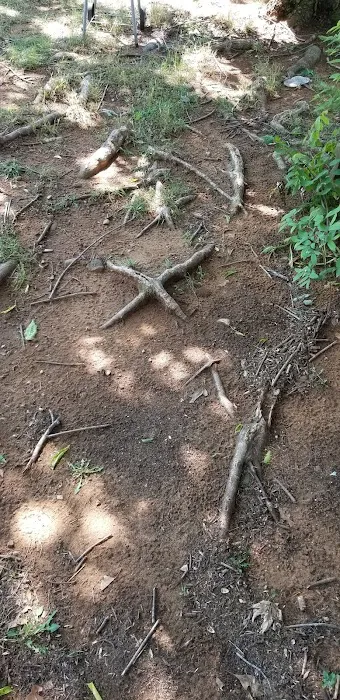 Shannon Valley Picture 5