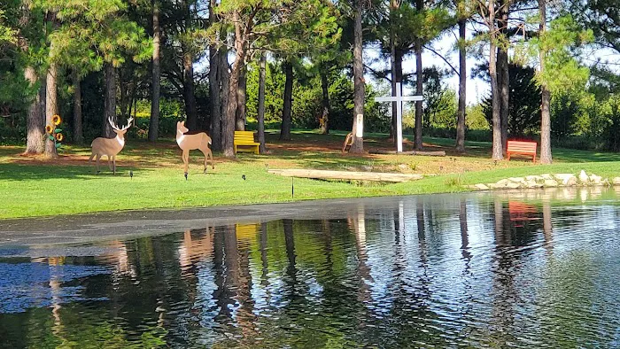 PINE Tree RV PARK Picture 1