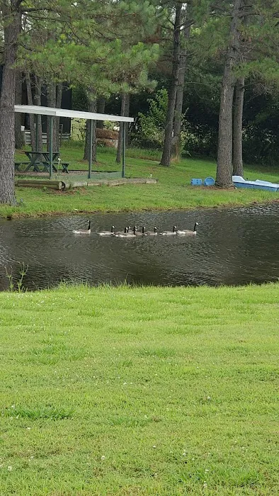 PINE Tree RV PARK Picture 10