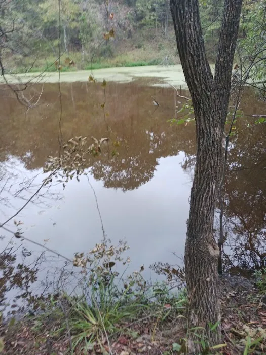 Rocky Ridge Resort LLC Picture 4