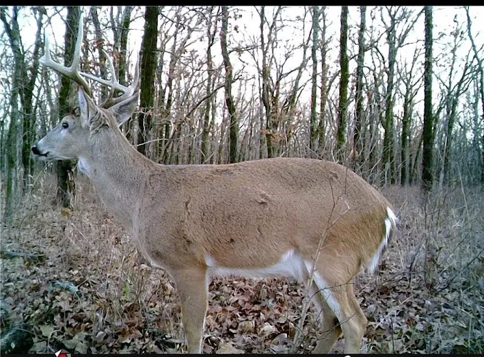 Anglers Sunset RV Park Picture 1