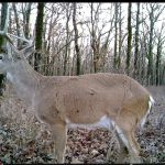 Anglers Sunset RV Park