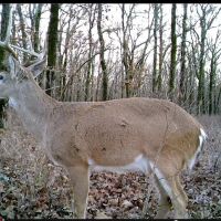 Anglers Sunset RV Park ico