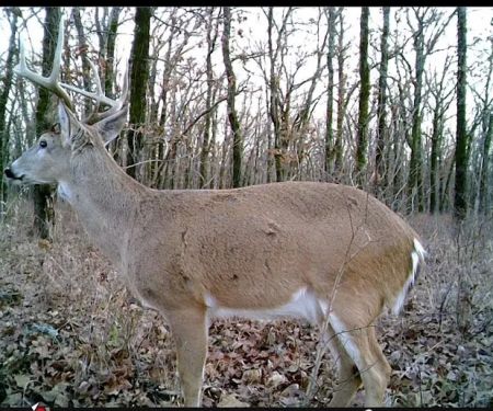 Anglers Sunset RV Park