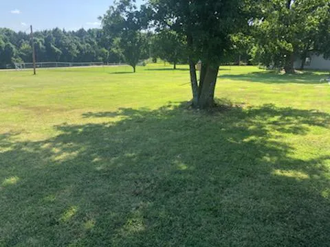 East Basin Campground Picture 8