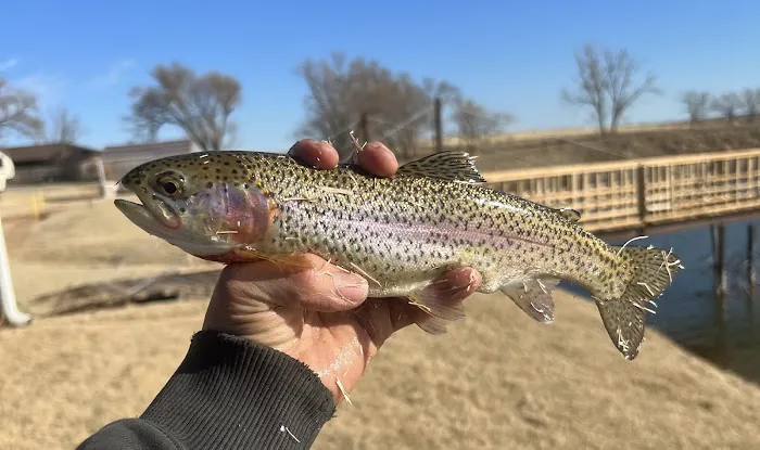 Hillwilliam Farms Fishing & RV Adventures Picture 8