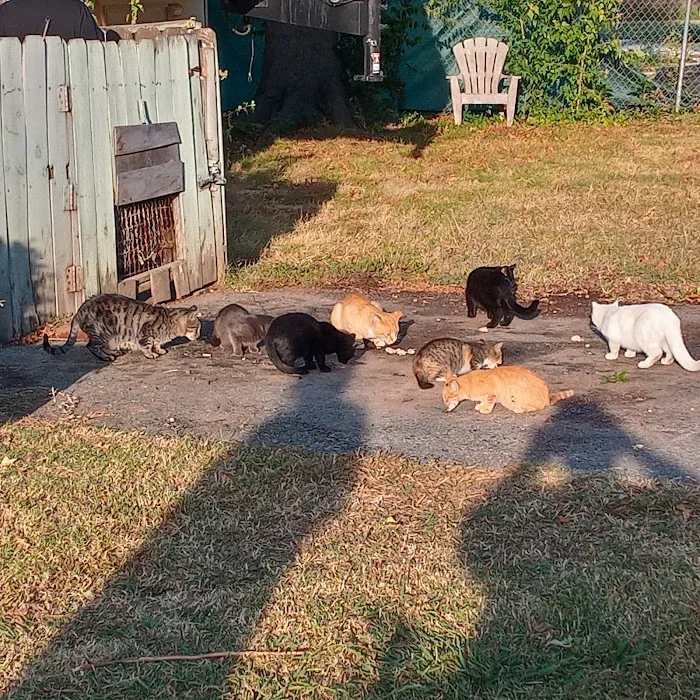 Woodridge Estates Mobile Home Park Picture 3