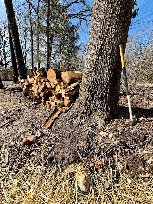 RV Park - River Valley Picture 2