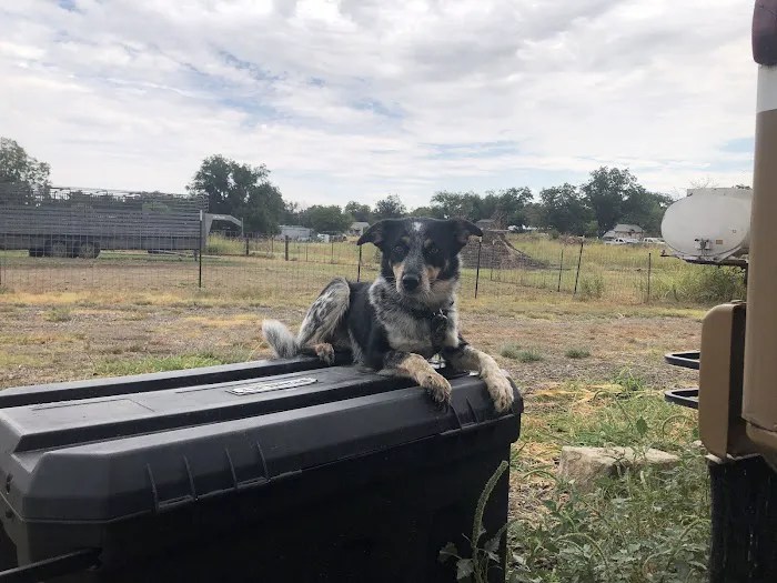 Silver Star RV Park Picture 7