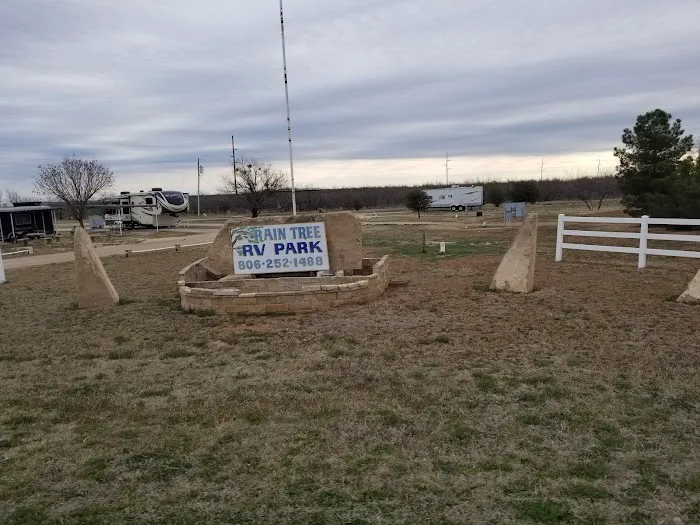 Rain Tree RV Park Picture 7