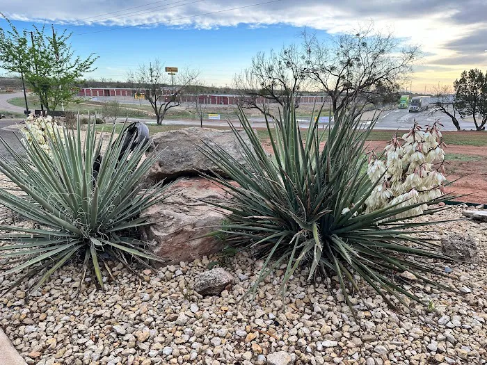 Bar J Hitchin' Post RV Park Picture 2