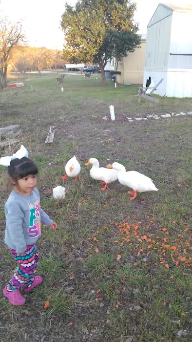 Ranchero Estates Mobile Home Cmm Picture 2