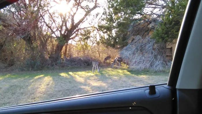 Ranchero Estates Mobile Home Cmm Picture 9