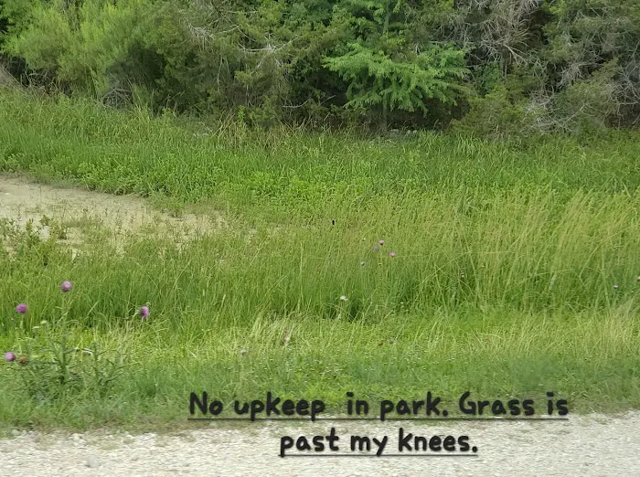 Ranchero Estates Mobile Home Cmm Picture 5