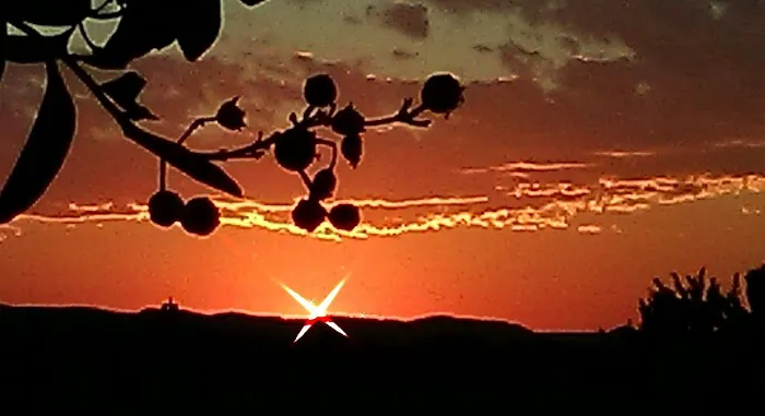 Sunset RV Park Picture 4