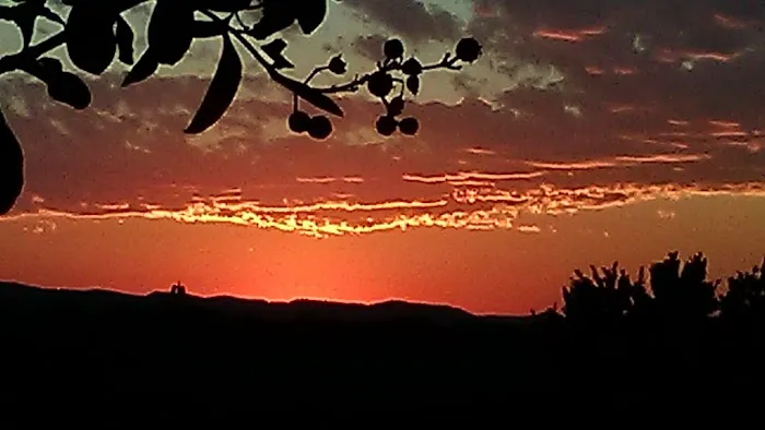 Sunset RV Park Picture 3