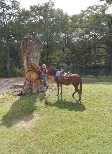 DD Texass Ranch & RV Picture 4