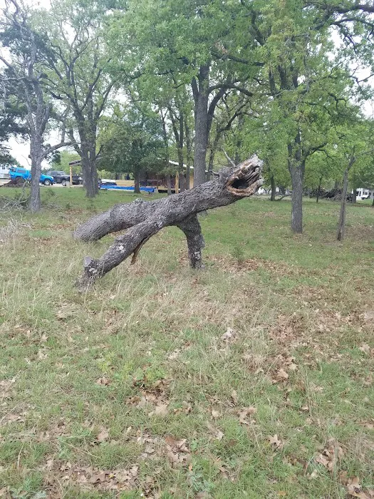 DD Texass Ranch & RV Picture 10