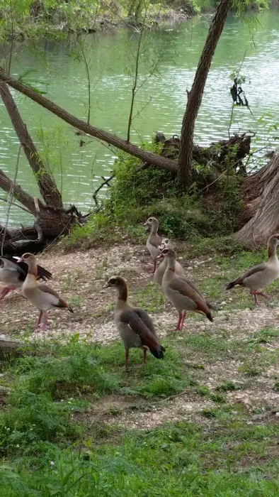 Riverside RV Park Picture 5