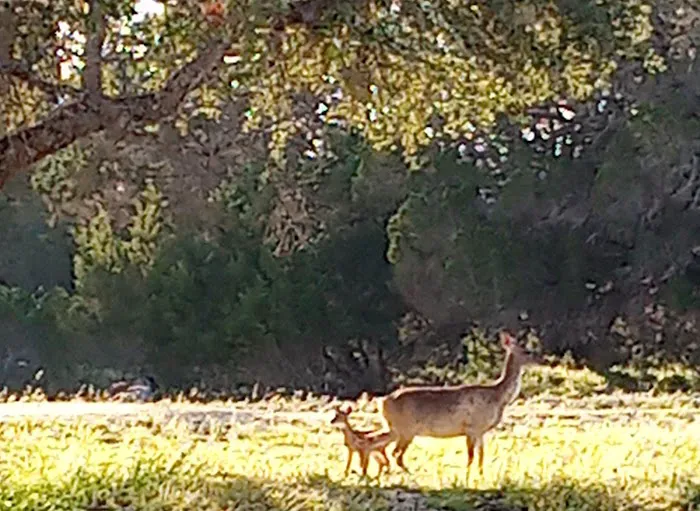 Farm Country Club Picture 6