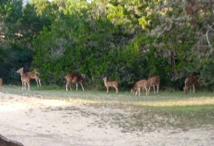 Farm Country Club Picture 7