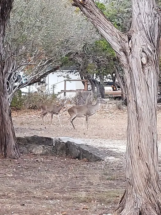 Farm Country Club Picture 9