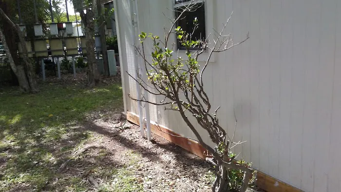 Lone Star Lodges Picture 2