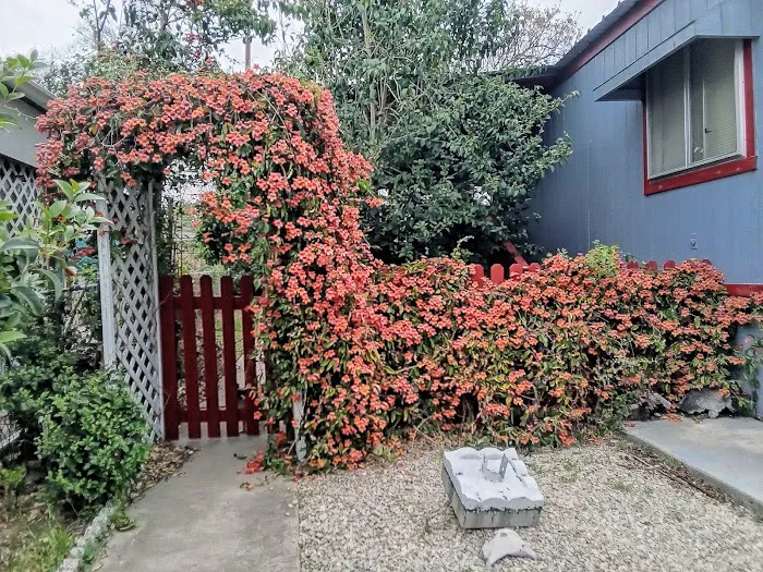 Three Hills Mobile Home Park Picture 2