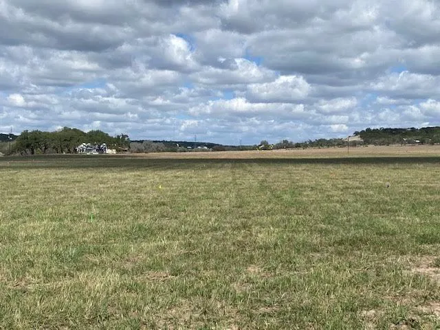 Grandma's RV Pasture Picture 10