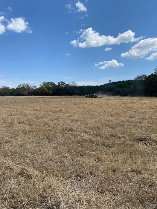 Grandma's RV Pasture Picture 9