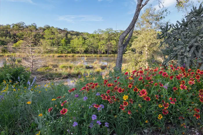 Riverfront RV Park Picture 5