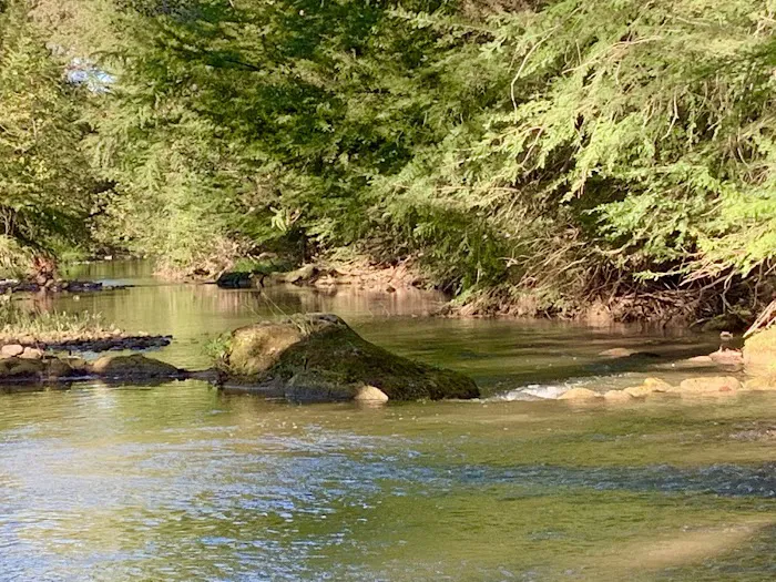 Bandera Pioneer RV River Resort Picture 8