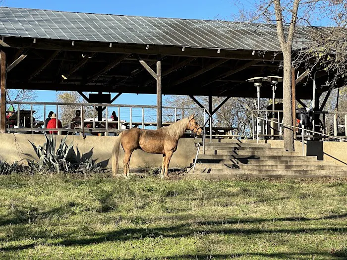 Bandera RV Park Picture 5