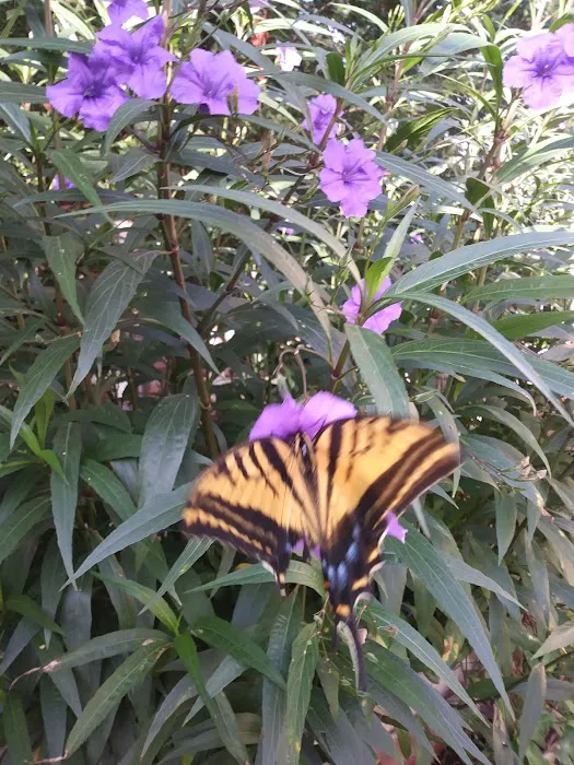 Bandera RV Park Picture 8